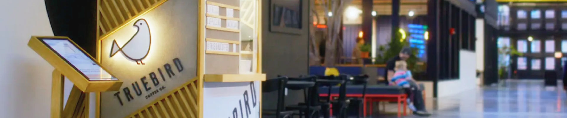 Rove Portable Foam  Roller